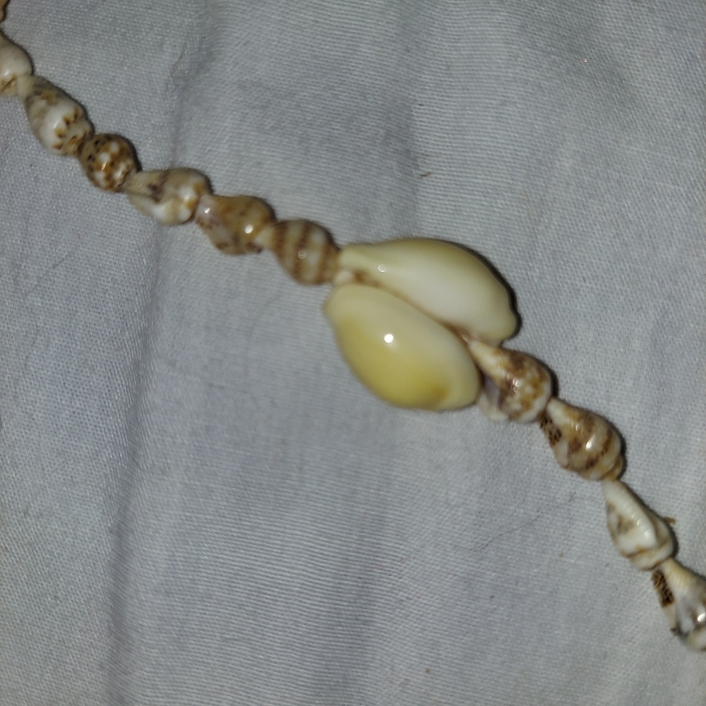 Shell necklace - Picture 2 of 2